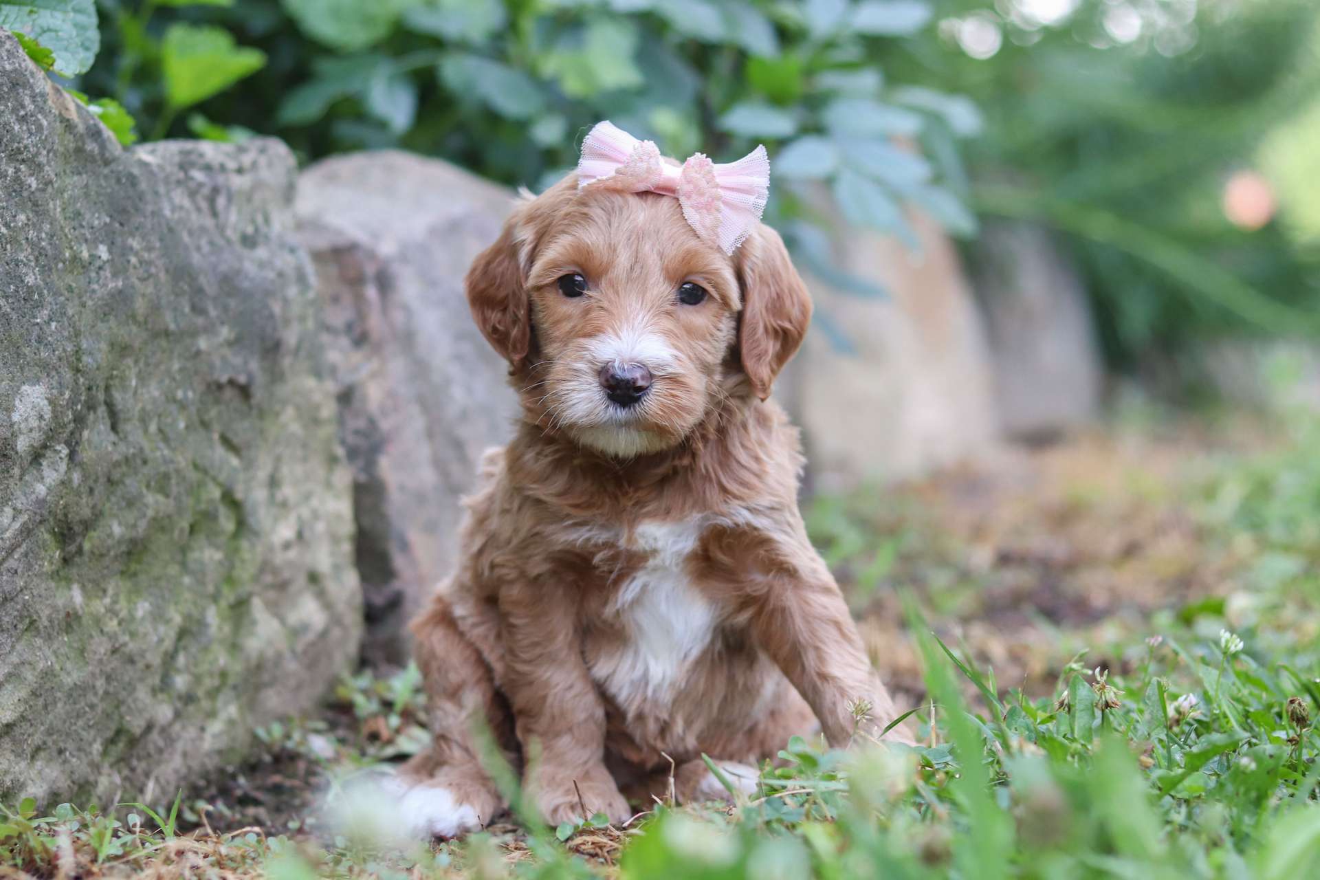 Olivia