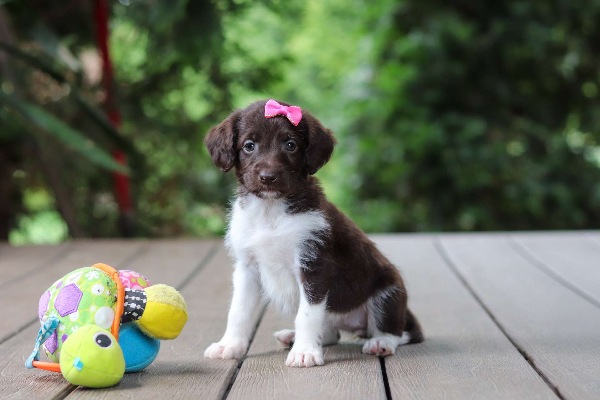 Millie