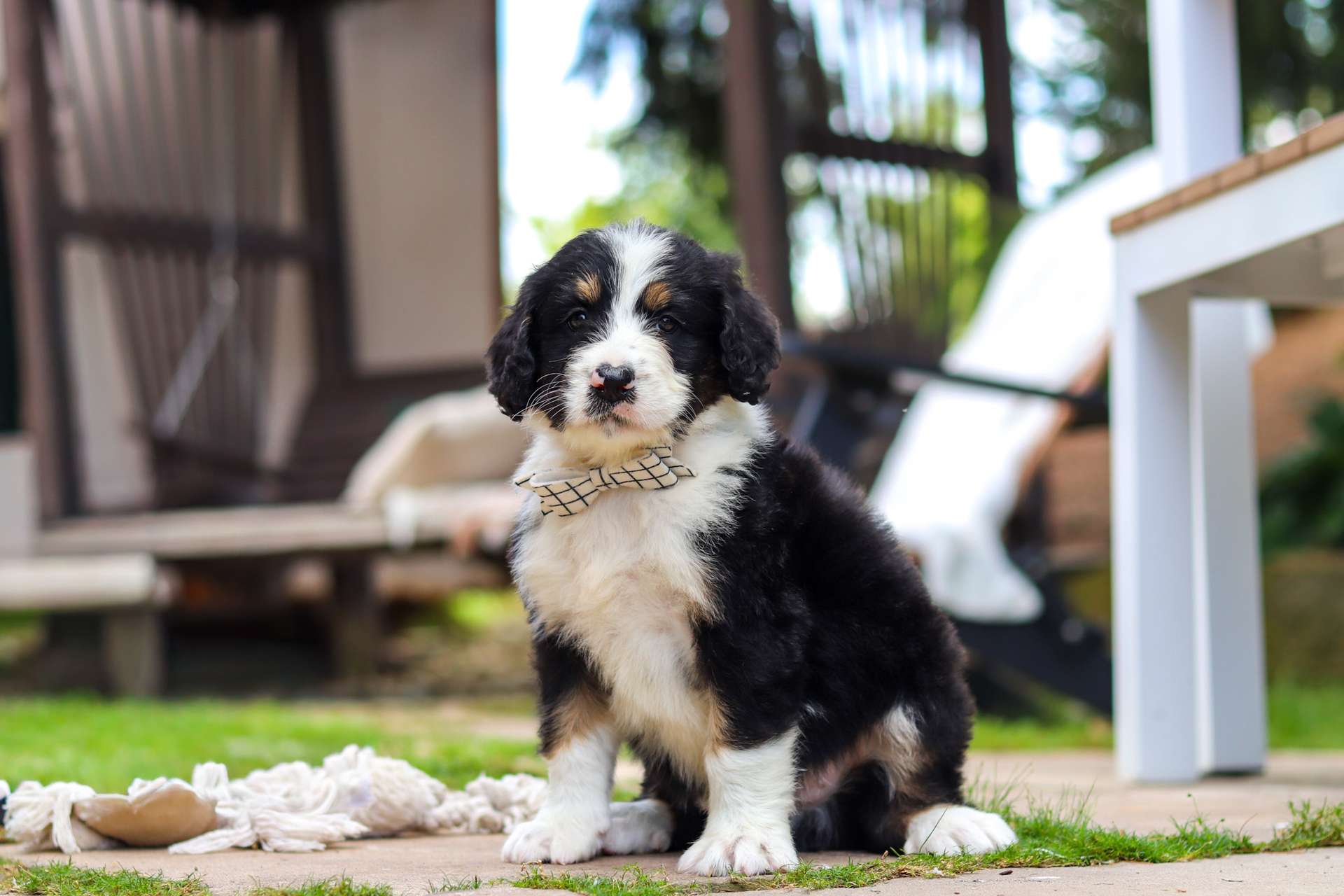 Baxter