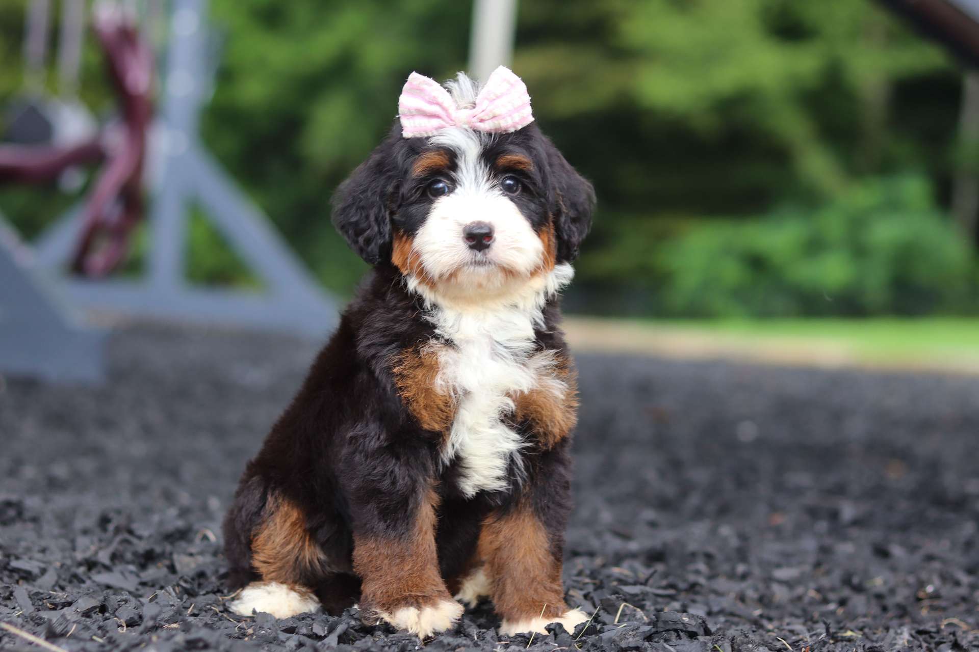 Nilla