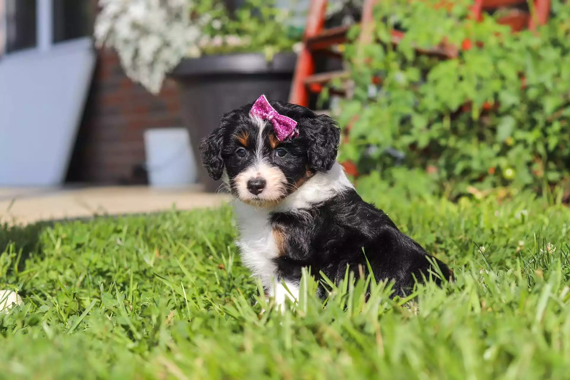 Matilda