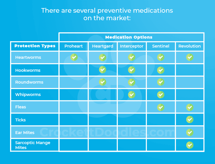 Heartworm Prevention Products