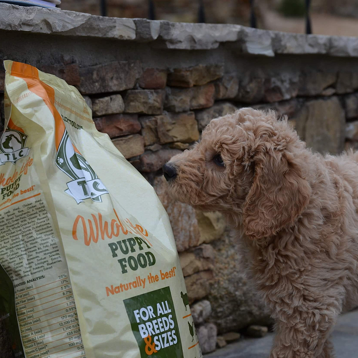 Why We Choose TLC Dog Food