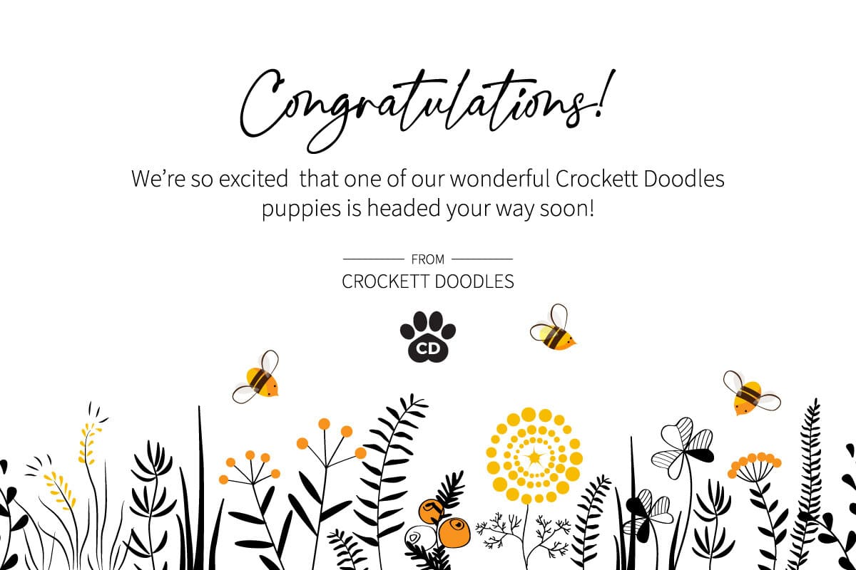 CD Summer Gift Certificate Flowers