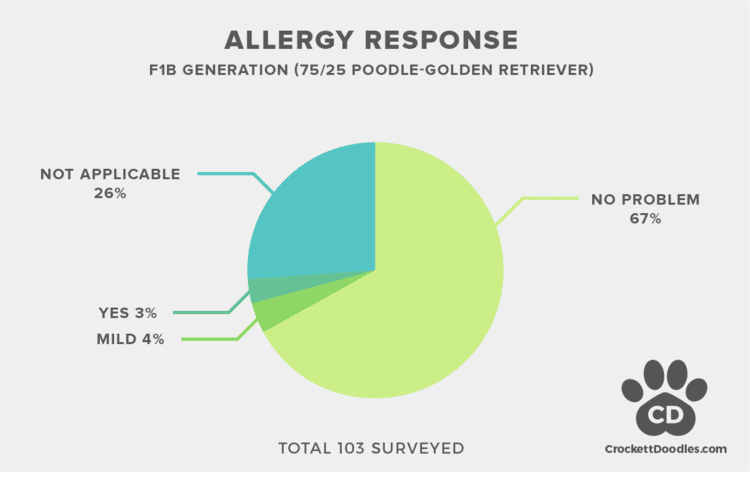 F1B Goldendoodle Allergy Statistics