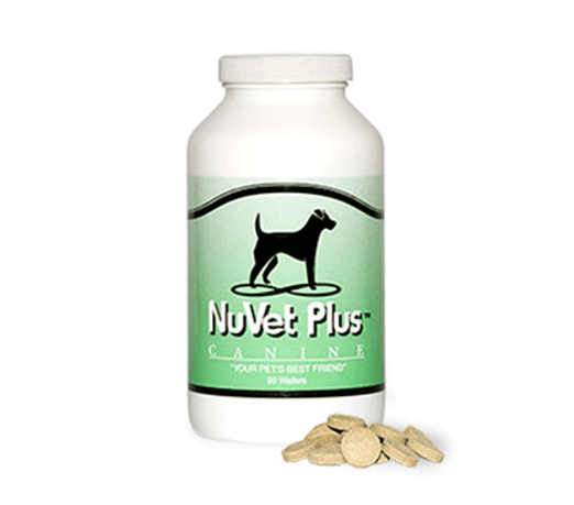 Immune System Nutrients