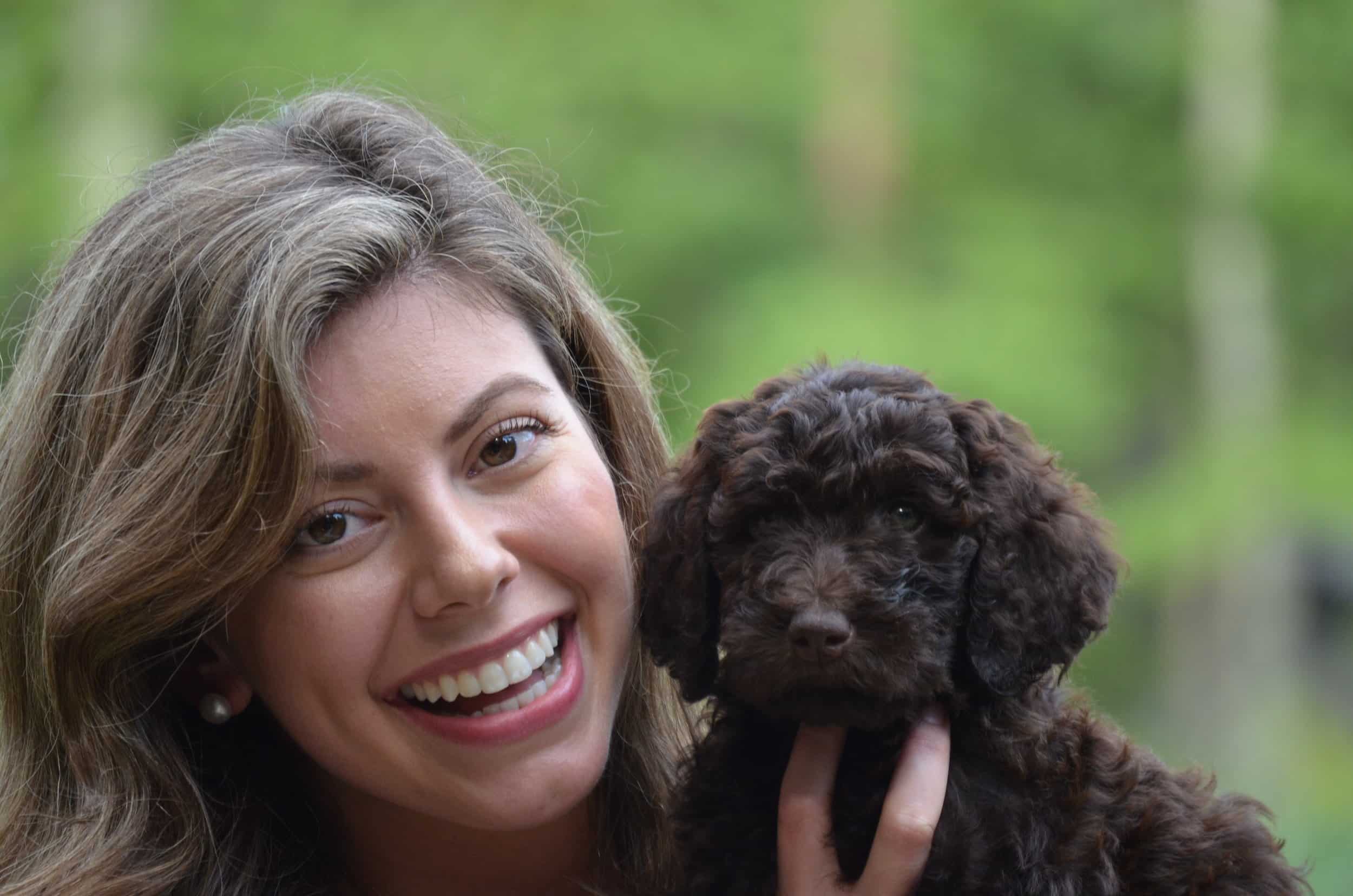 Doodle Puppy Socialization