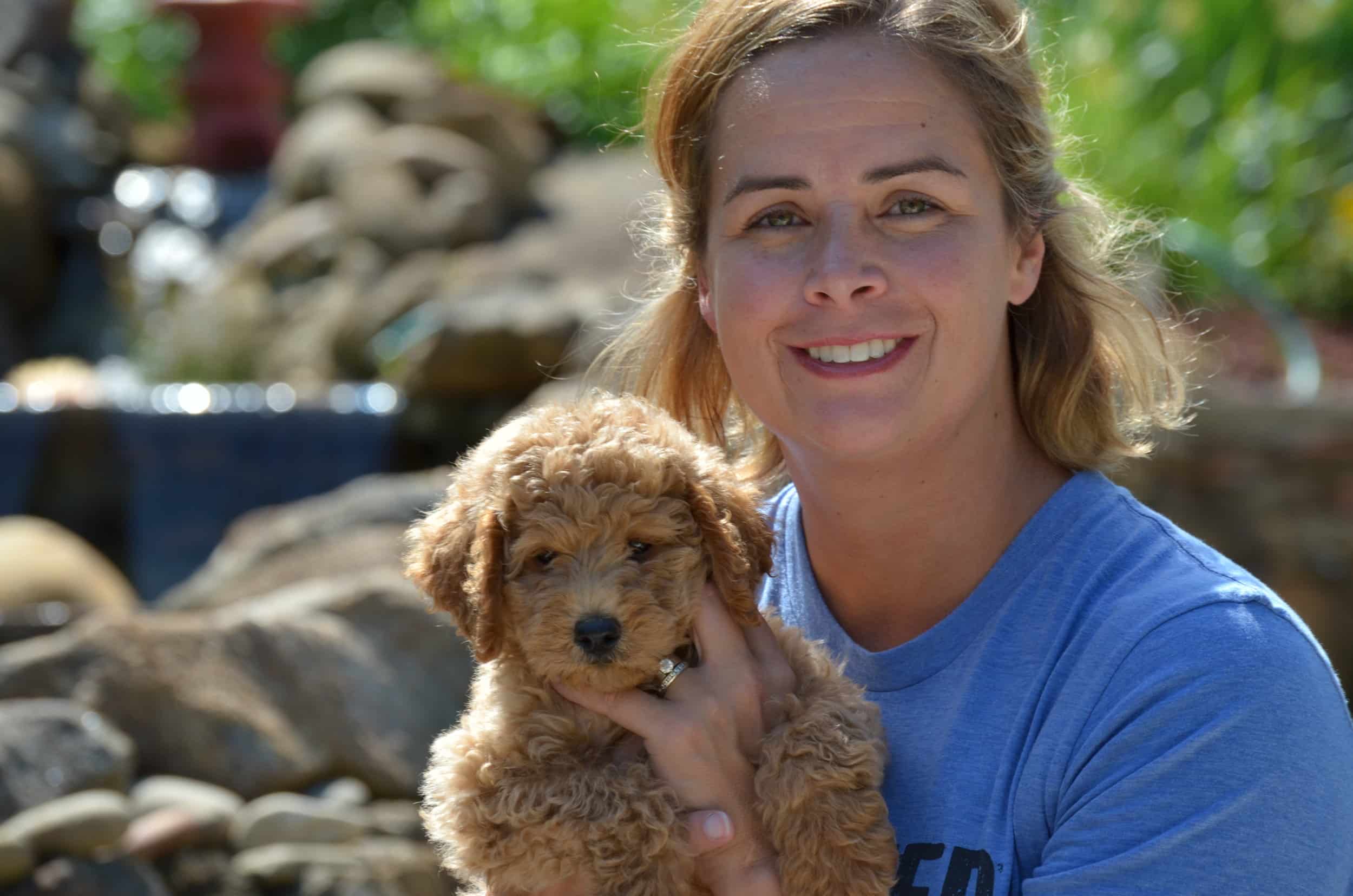 Cute Fluffy Doodle Puppy