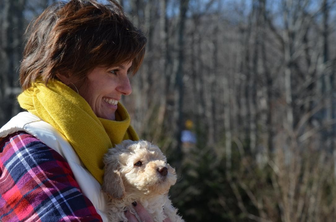 Doodle Puppy Outdoors