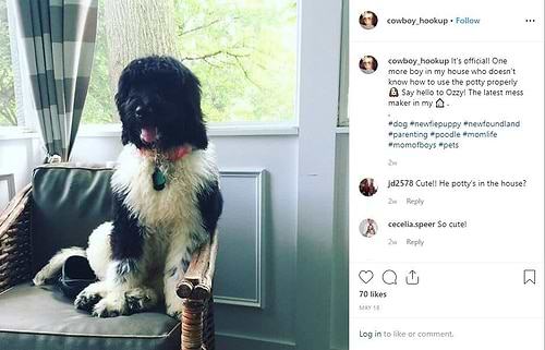 Instagram Ozzy Number Two