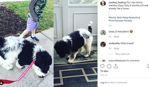 Instagram Ozzy Number One