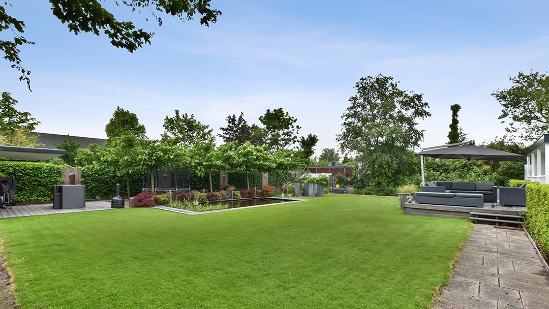 Puppy Proof Your Back Yard