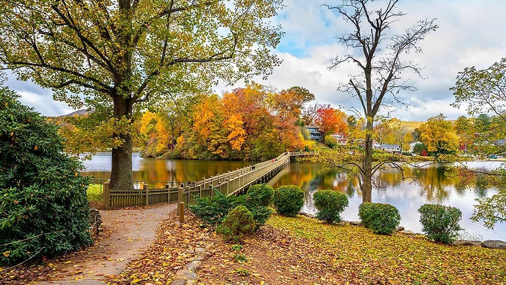 Things to do with your dog in Asheville, North Carolina