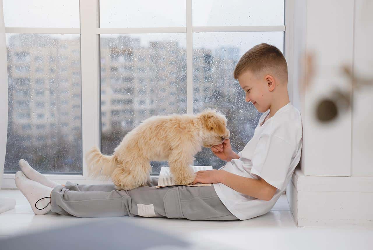 5 Effective Positive Techniques for Training Puppies