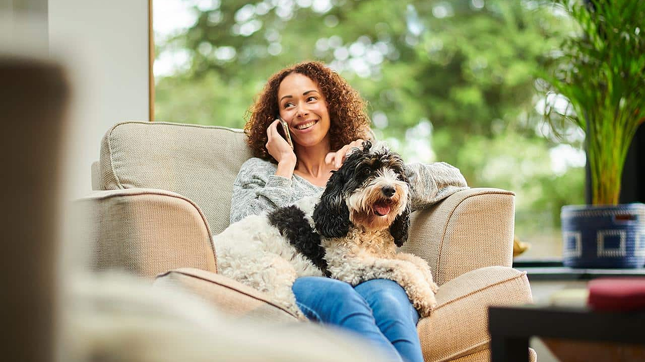 Unraveling Canine Body Language