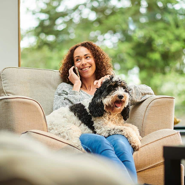 Unraveling Canine Body Language