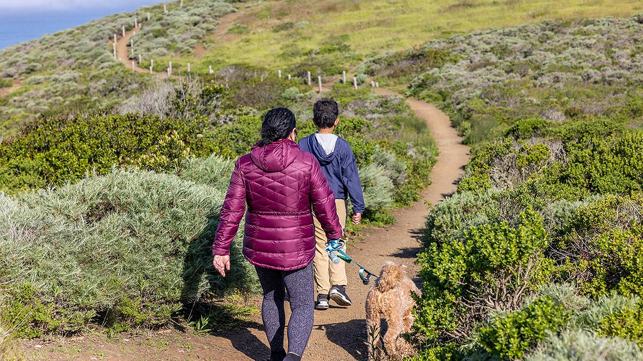 Top Dog-Friendly Hiking Trails in the USA
