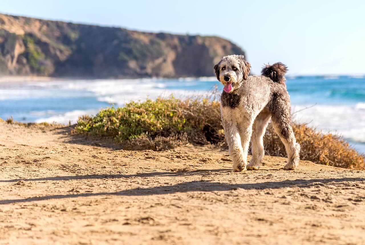 Hiking Trails in the USA
