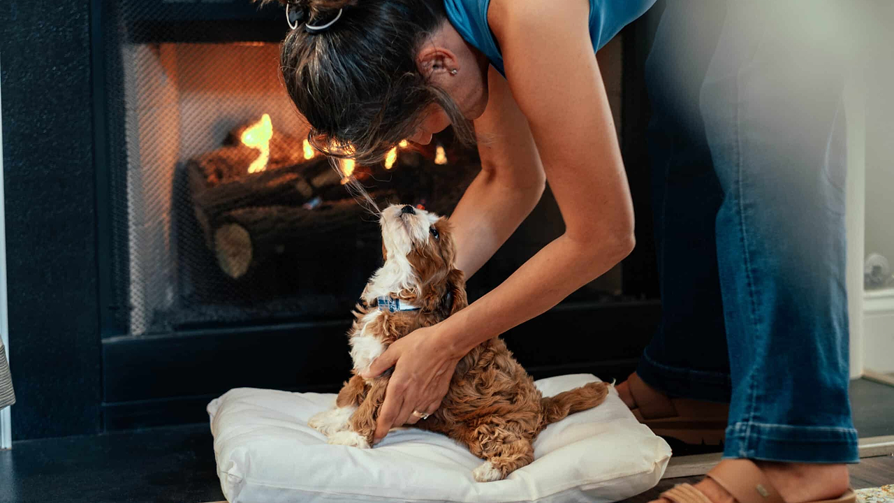 Smart Doodle Brain Games