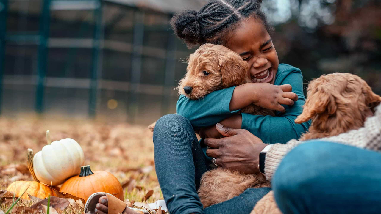 Goldendoodle Happiness Science