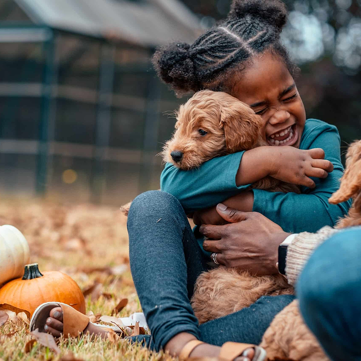 Goldendoodle Happiness Science