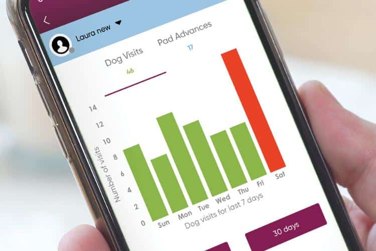 BrilliantPad Insight