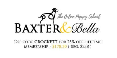 Baxter & Bella