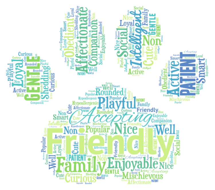 Goldendoodle Word Art