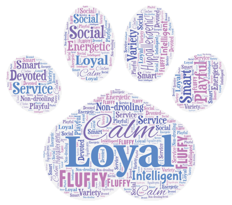 Bernedoodle Word Art