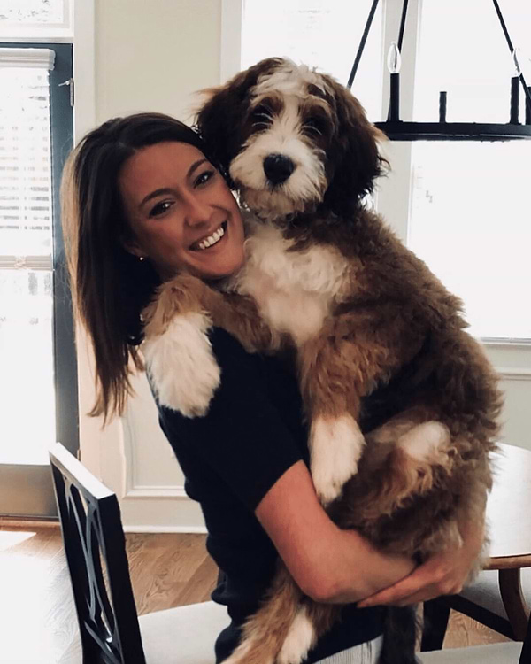 bernedoodle-vs-sheepadoodle-breed-comparison-crockett-doodles