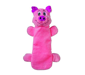 Dog Bottle Toy