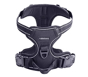 Dog Harness