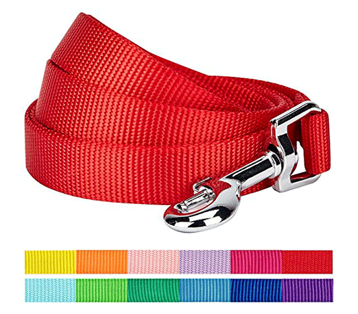 Dog Leashes