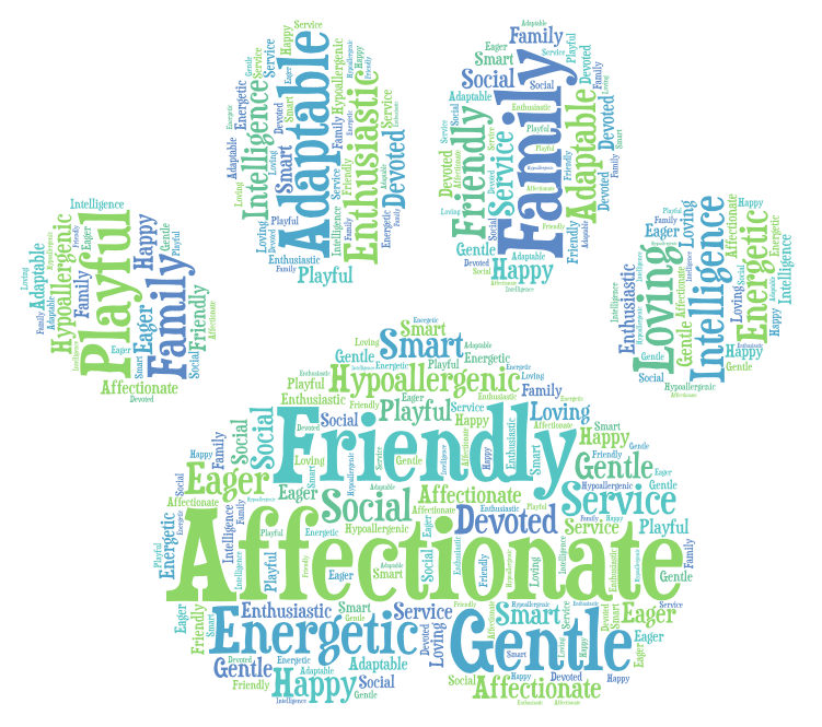 Labradoodle Word Art