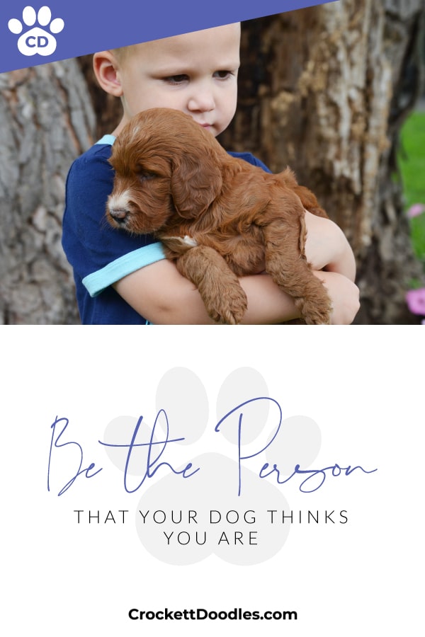 Puppy Love