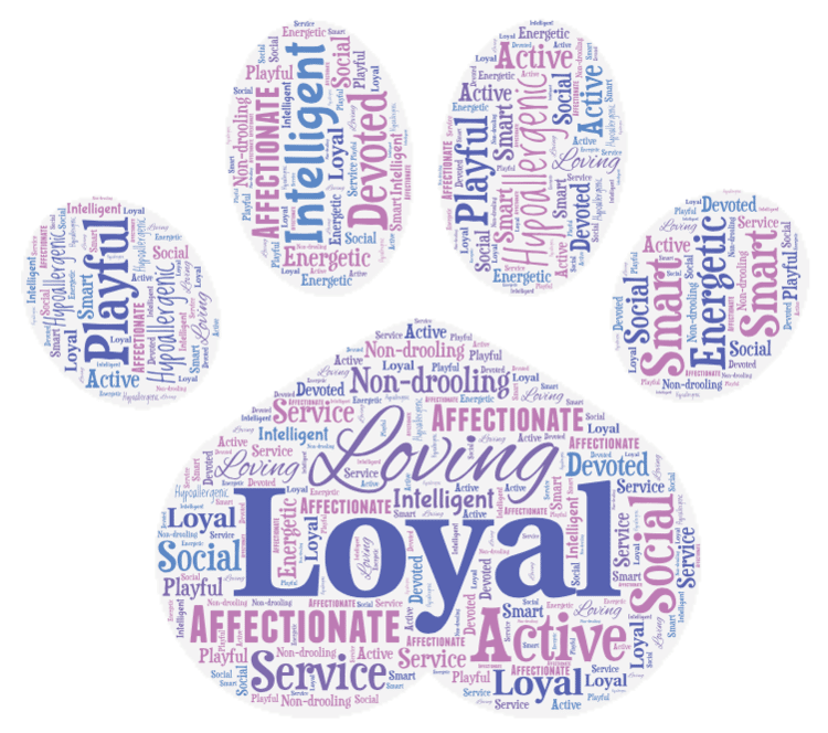 Saintberdoodles Word Art
