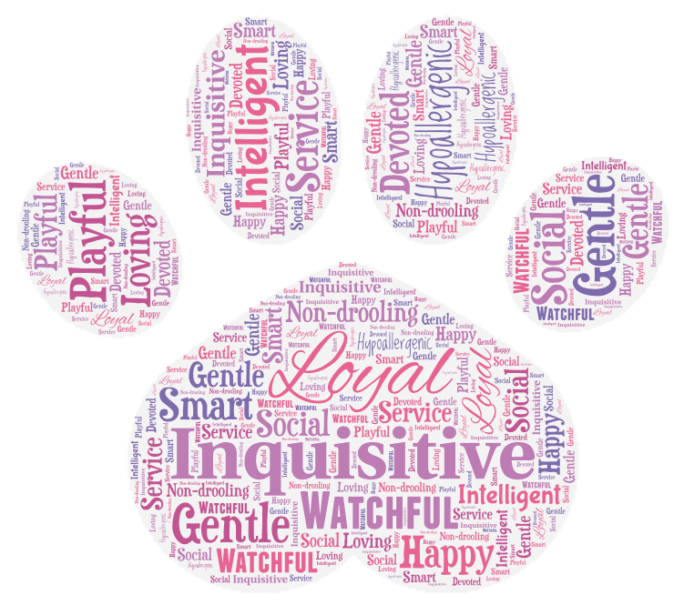 Sheepadoodles Word Art