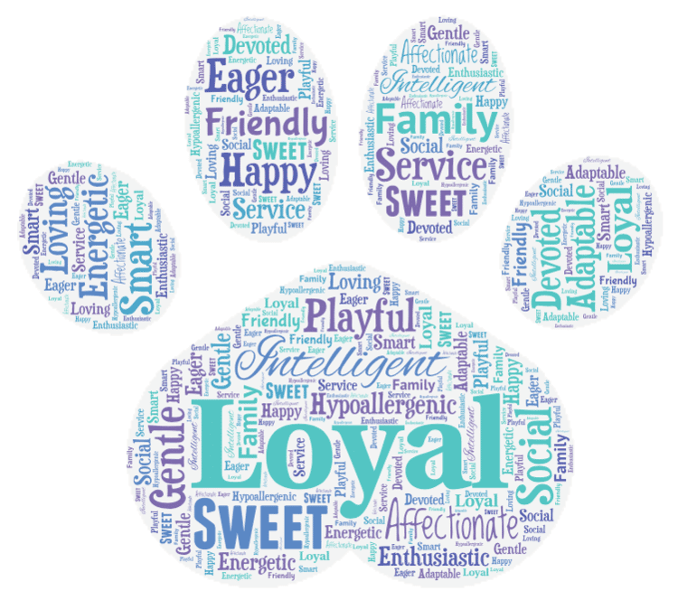 Springerdoodles Word Art