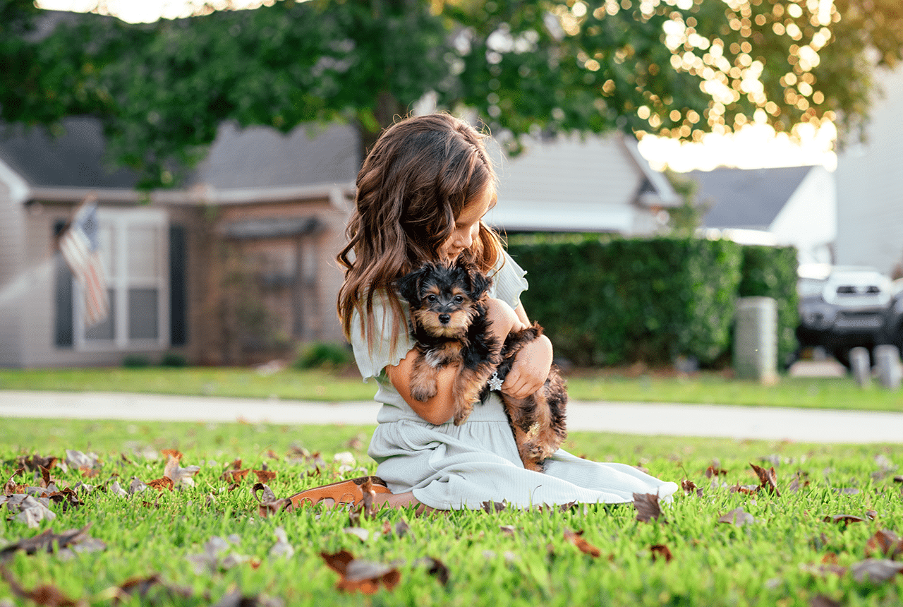 YorkiPoo puppy held by a little girl