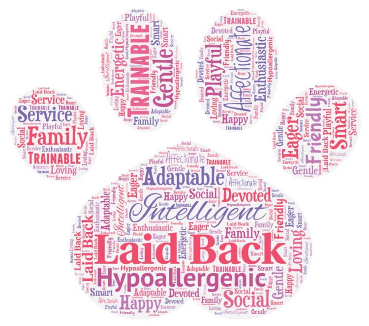 Yorkipoo Word Art