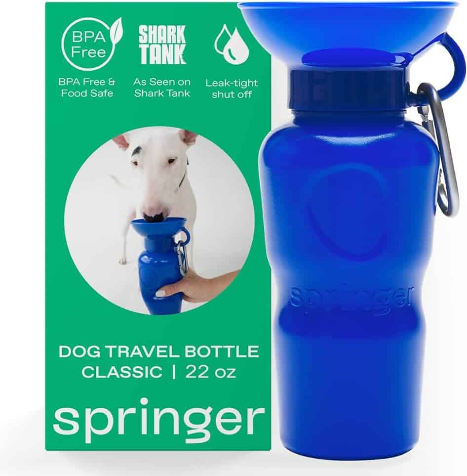 Springer Travel Bottle