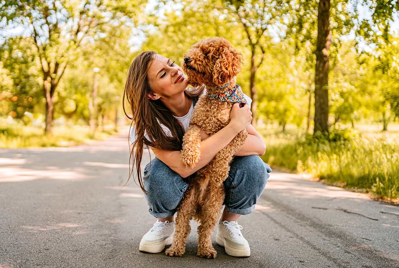 Dog Day Trip Ideas