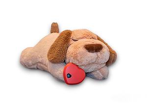CD Cuddle Buddy Puppy