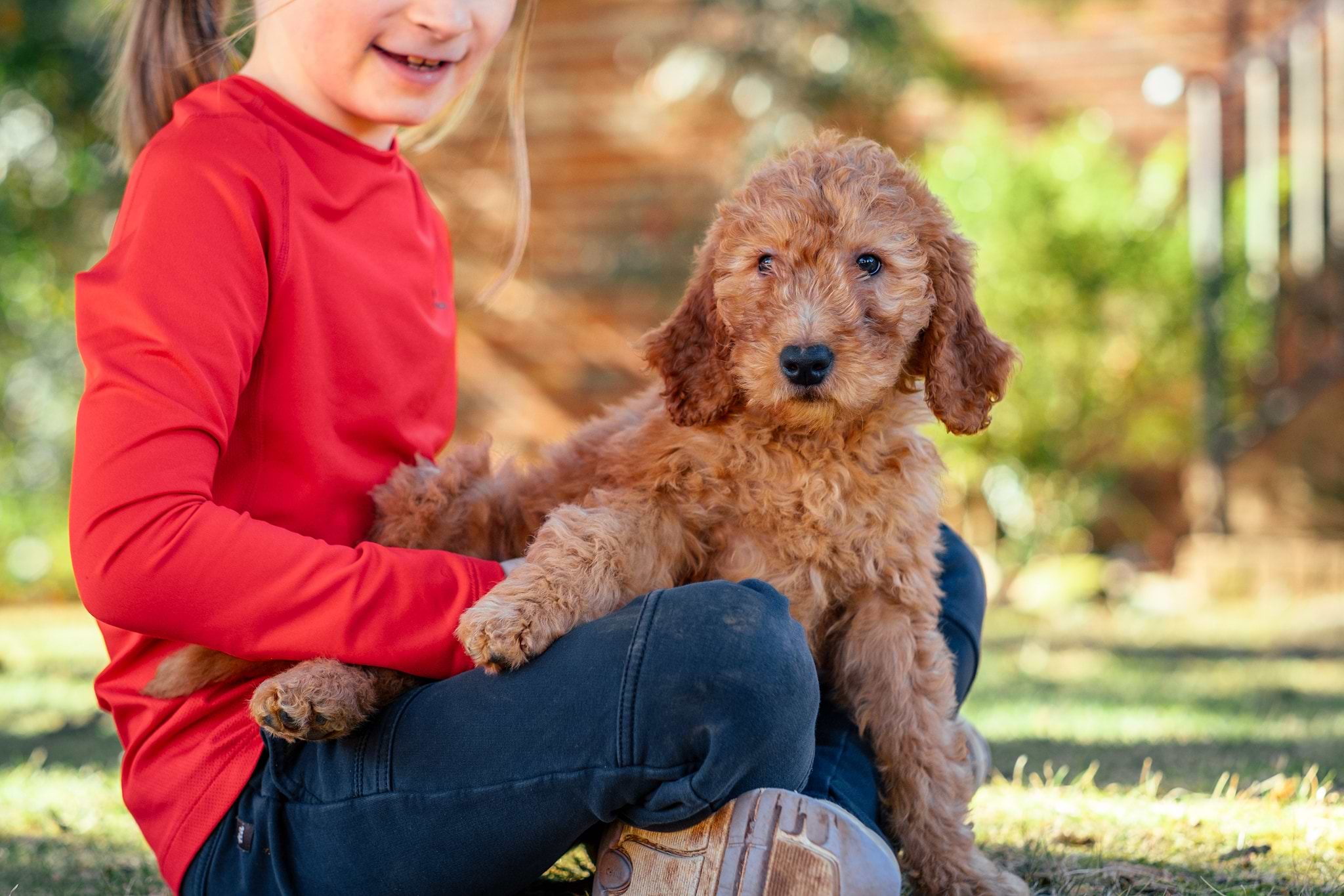 Kids with Goldendoodles
