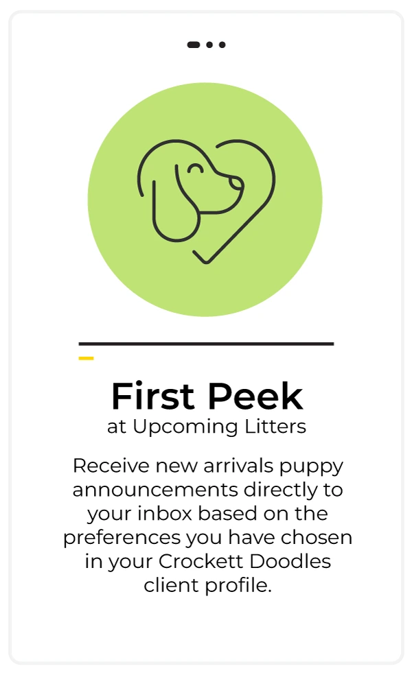 Priority Deposit List - First Peek
