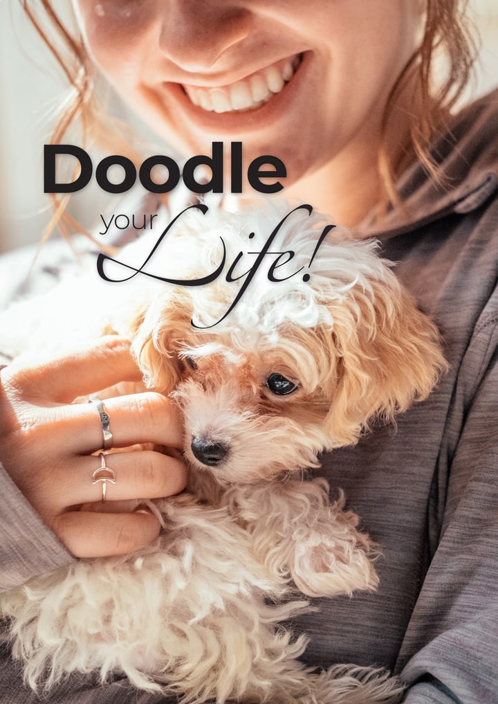 Doodle Your Life