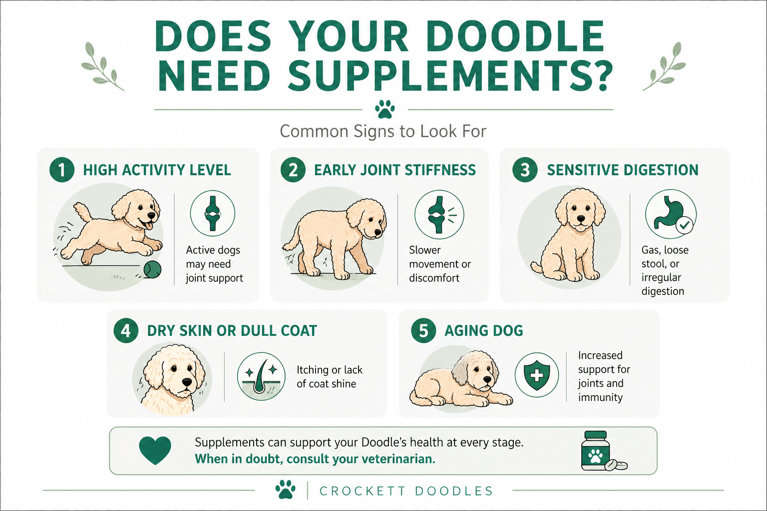Does Your Doodle Need Supplements