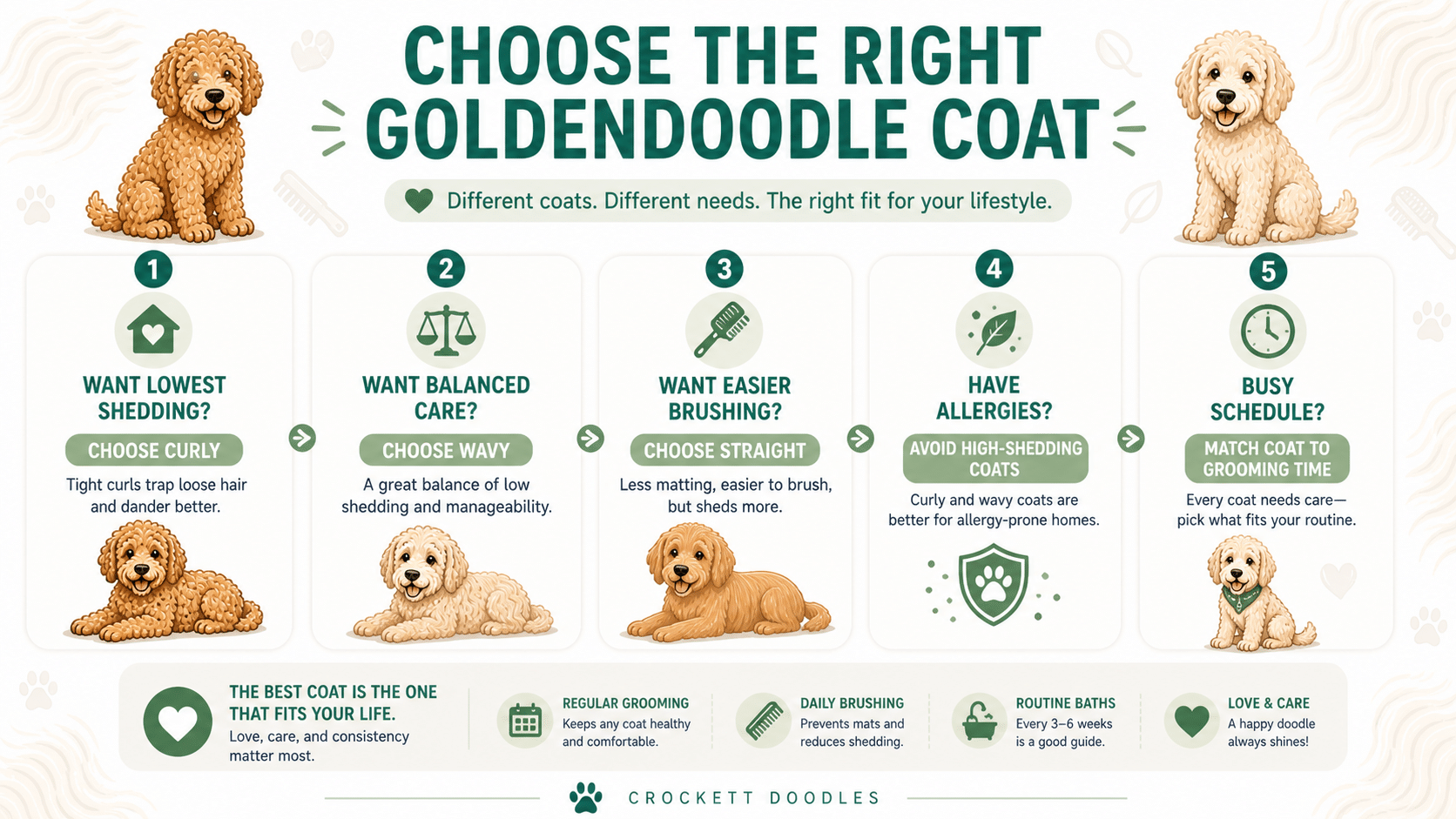 Choose the right Goldendoodle Coat
