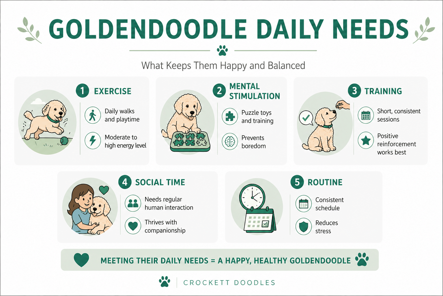 Goldendoodle Daily Needs