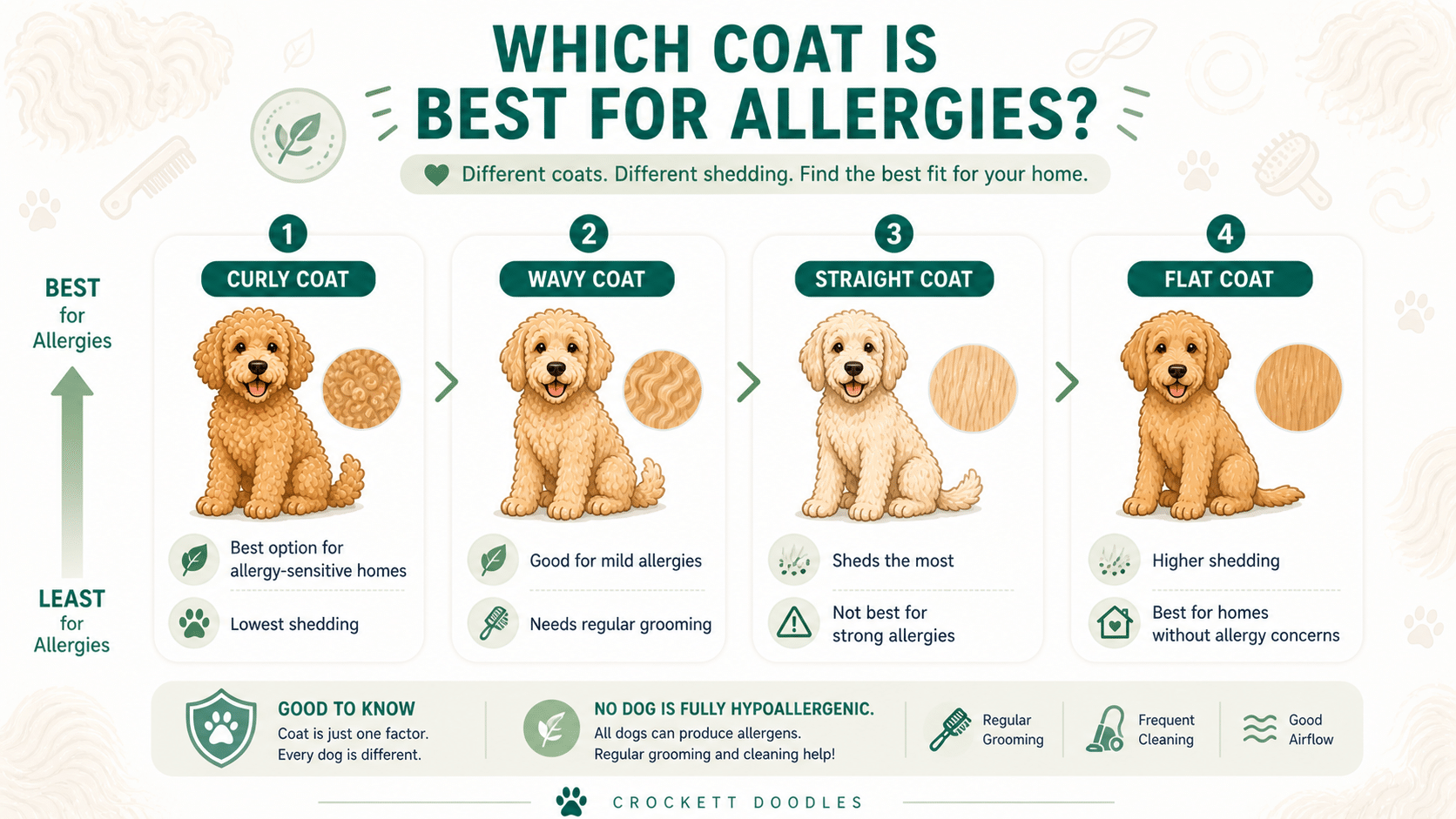 Which Coat Is Best for Allergies